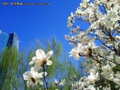 xp系统找回误删文件的设置教程