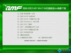 大地详解2016年最新win7系统64位旗舰版iso镜像文件下载的步骤?